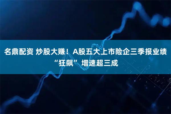 名鼎配资 炒股大赚！A股五大上市险企三季报业绩“狂飙” 增速超三成