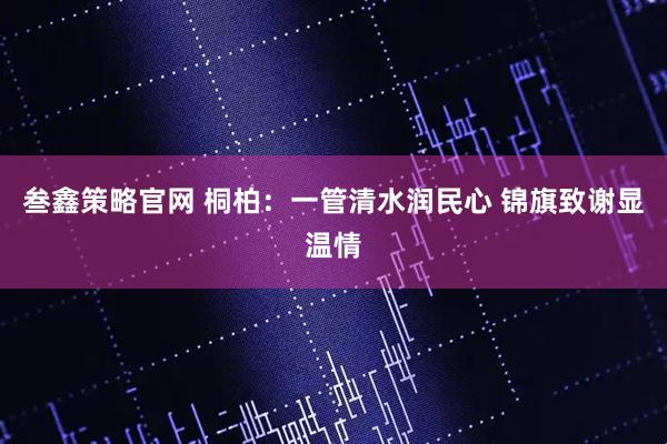 叁鑫策略官网 桐柏：一管清水润民心 锦旗致谢显温情