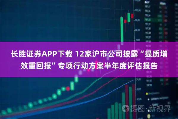 长胜证券APP下载 12家沪市公司披露“提质增效重回报”专项行动方案半年度评估报告